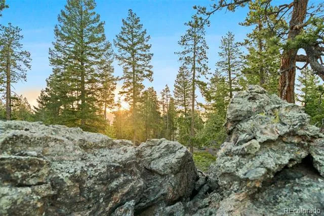 6391 Canyon Creek Road Evergreen, CO 80439