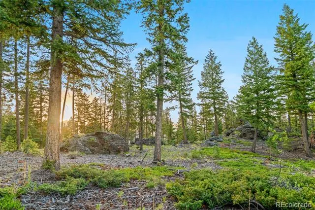 6391 Canyon Creek Road Evergreen, CO 80439