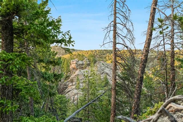 6391 Canyon Creek Road Evergreen, CO 80439