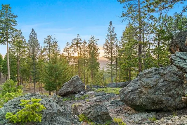 6391 Canyon Creek Road Evergreen, CO 80439