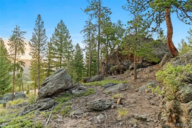 6391 Canyon Creek Road Evergreen, CO 80439