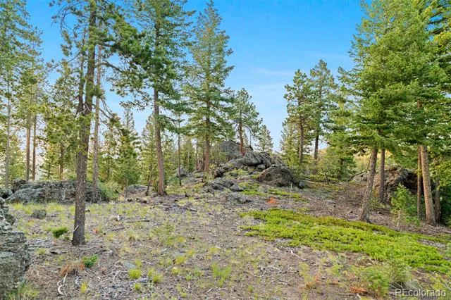 6391 Canyon Creek Road Evergreen, CO 80439