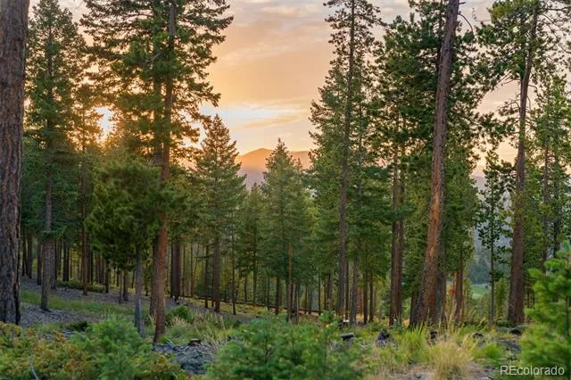 6391 Canyon Creek Road Evergreen, CO 80439