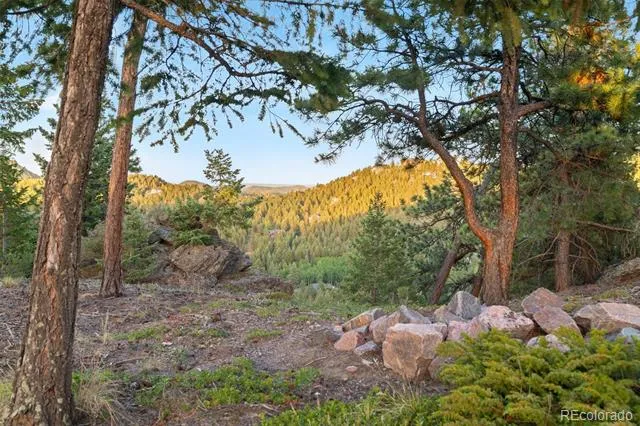 6391 Canyon Creek Road Evergreen, CO 80439