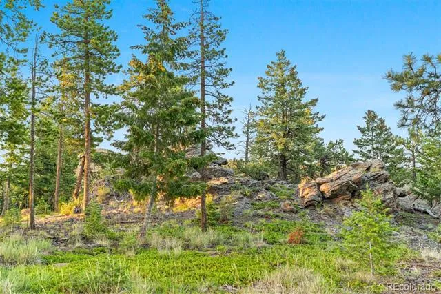 6391 Canyon Creek Road Evergreen, CO 80439