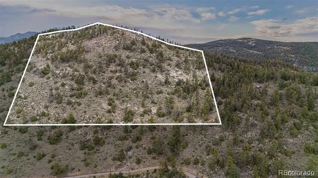 14336 Wamblee Trail Conifer, CO 80433