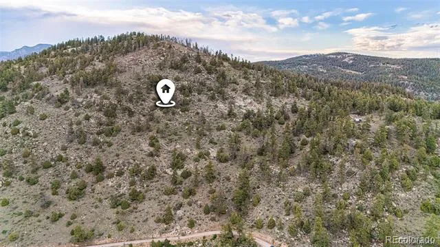 14336 Wamblee Trail Conifer, CO 80433