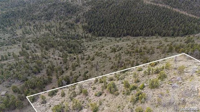 14336 Wamblee Trail Conifer, CO 80433