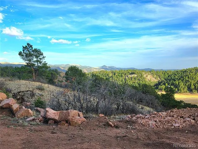 204 Pine Road Florissant, CO 80816