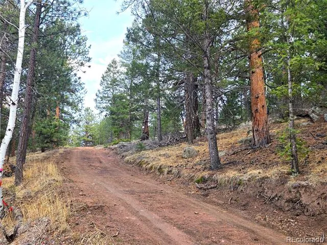 204 Pine Road Florissant, CO 80816