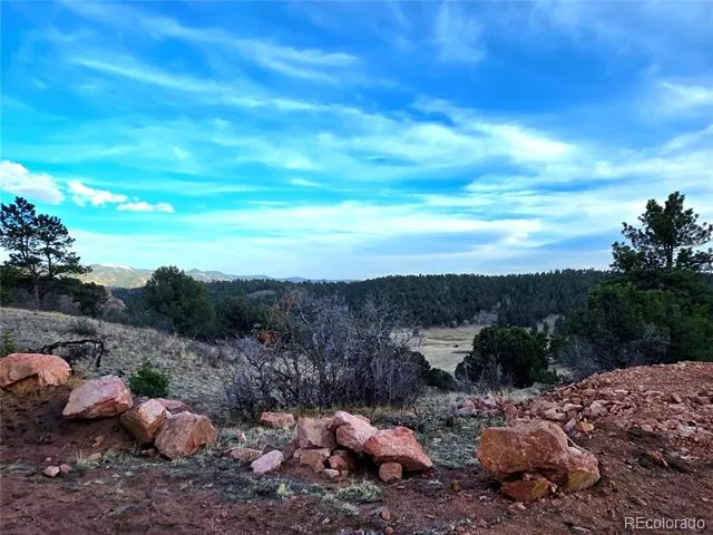 204 Pine Road Florissant, CO 80816