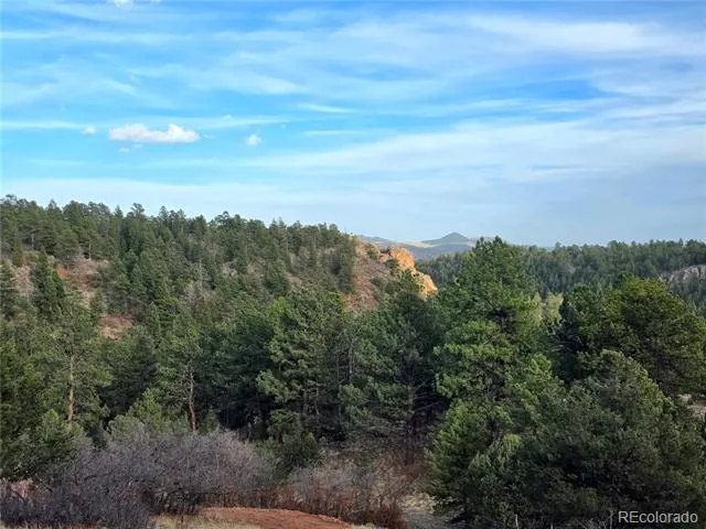204 Pine Road Florissant, CO 80816