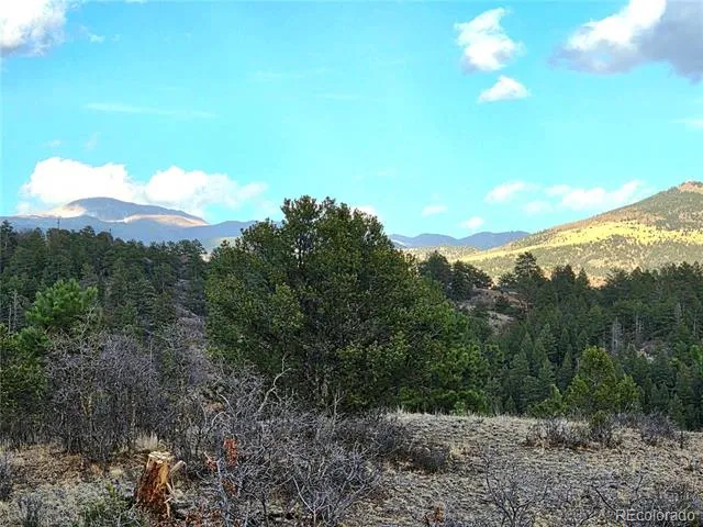 204 Pine Road Florissant, CO 80816