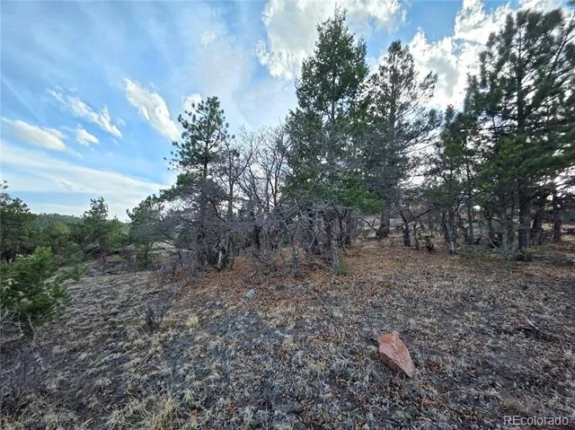 204 Pine Road Florissant, CO 80816