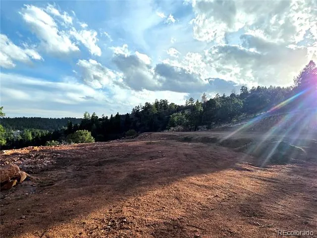 204 Pine Road Florissant, CO 80816