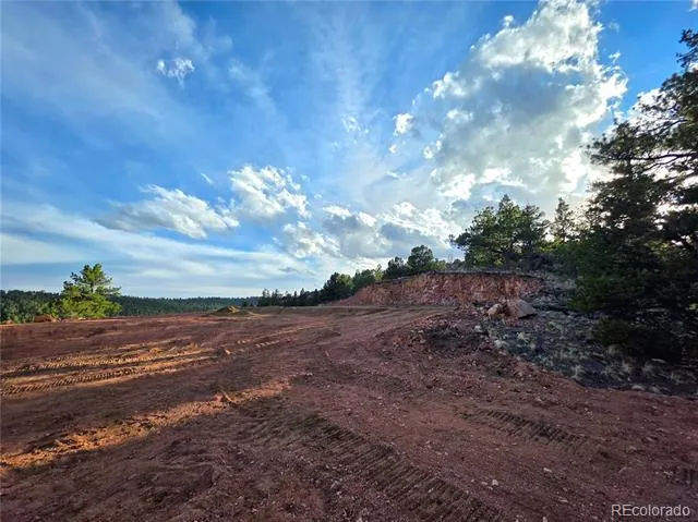 204 Pine Road Florissant, CO 80816