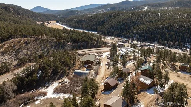 206 Virginia Road Bailey, CO 80421