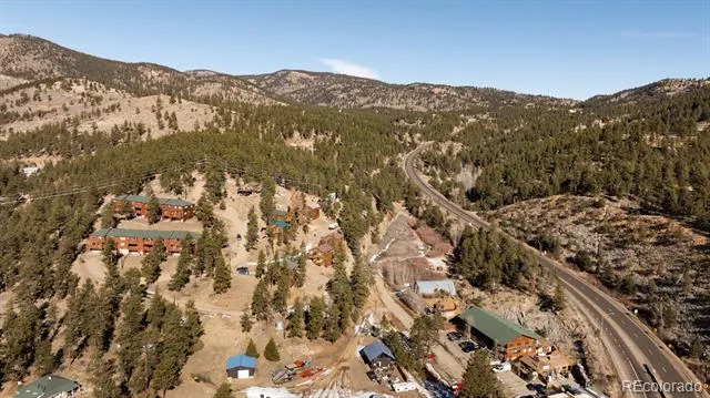 206 Virginia Road Bailey, CO 80421