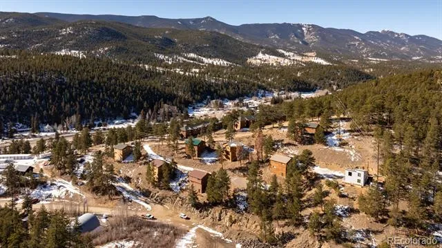 206 Virginia Road Bailey, CO 80421