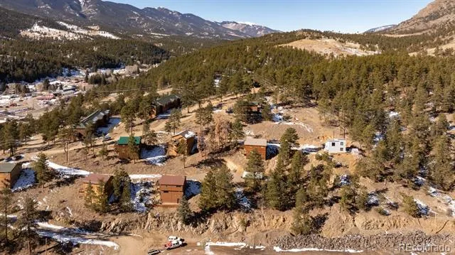 206 Virginia Road Bailey, CO 80421
