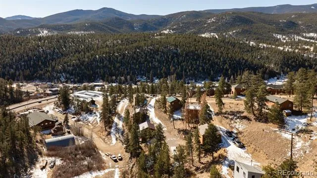 206 Virginia Road Bailey, CO 80421