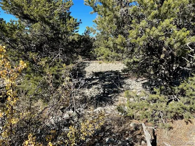 03 Mill Run Road Mosca, CO 81146