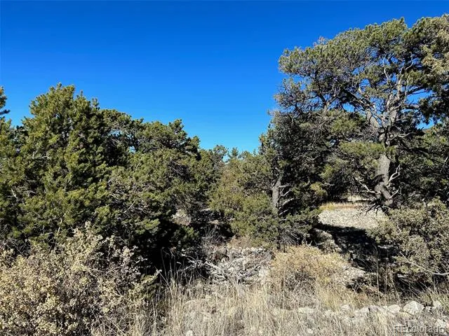 03 Mill Run Road Mosca, CO 81146