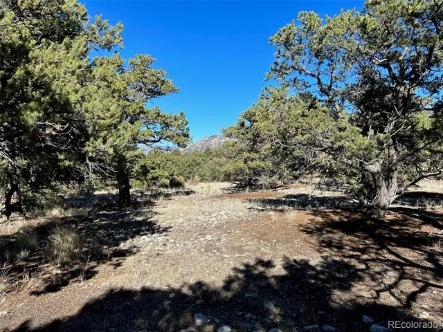 03 Mill Run Road Mosca, CO 81146