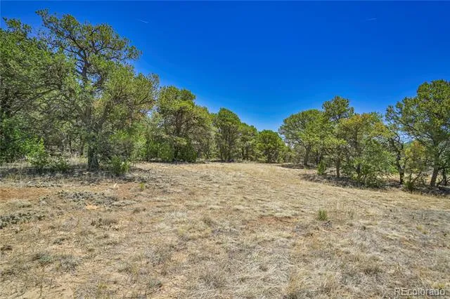 Address Not Shown Aguilar, CO 81020
