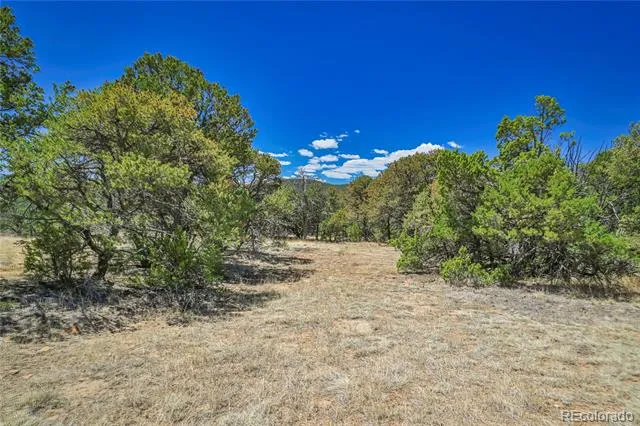 Address Not Shown Aguilar, CO 81020