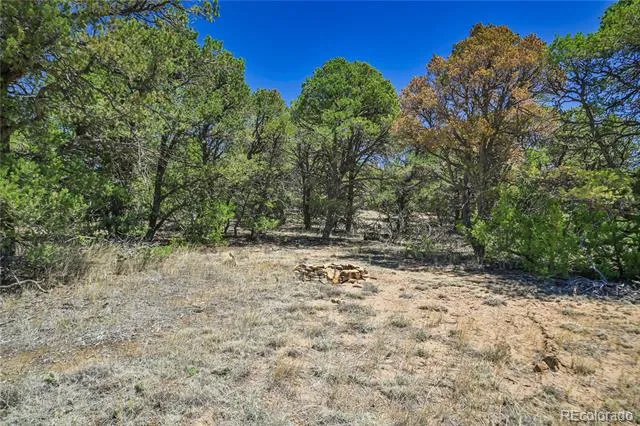 Address Not Shown Aguilar, CO 81020