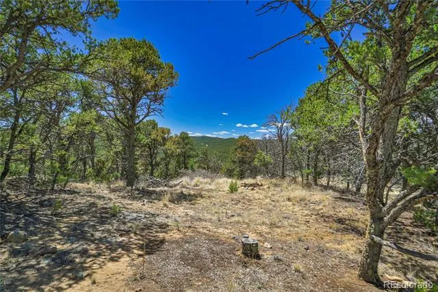 Address Not Shown Aguilar, CO 81020