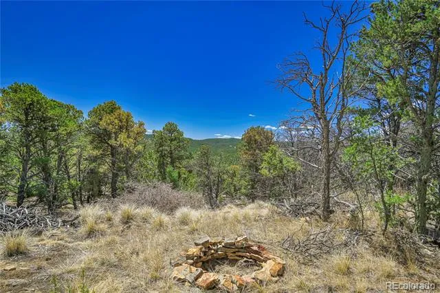 Address Not Shown Aguilar, CO 81020