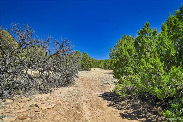 Address Not Shown Aguilar, CO 81020