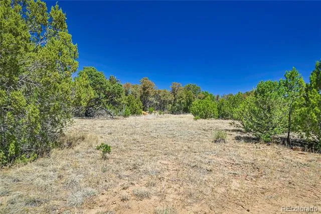 Address Not Shown Aguilar, CO 81020