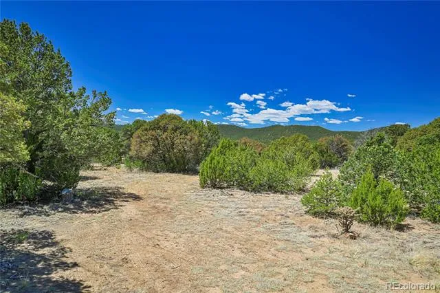 Address Not Shown Aguilar, CO 81020