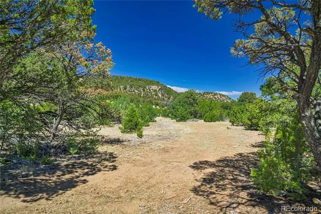 Address Not Shown Aguilar, CO 81020