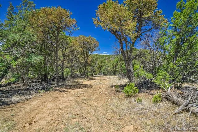 Address Not Shown Aguilar, CO 81020