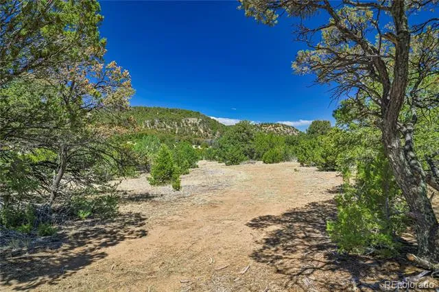 Address Not Shown Aguilar, CO 81020