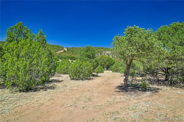 Address Not Shown Aguilar, CO 81020
