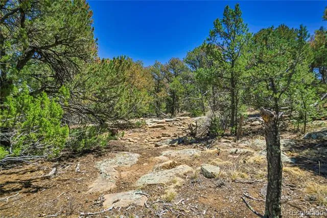 Address Not Shown Aguilar, CO 81020