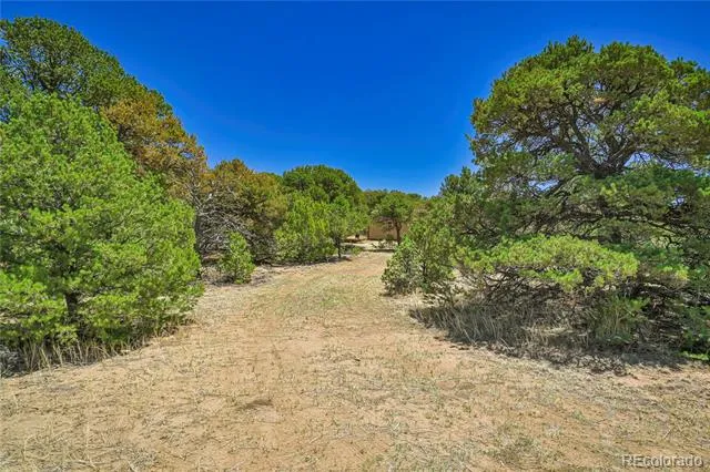 Address Not Shown Aguilar, CO 81020