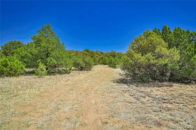 Address Not Shown Aguilar, CO 81020