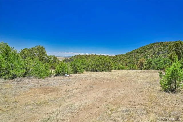 Address Not Shown Aguilar, CO 81020