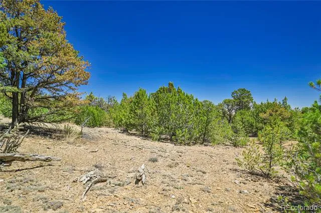 Address Not Shown Aguilar, CO 81020