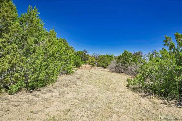 Address Not Shown Aguilar, CO 81020