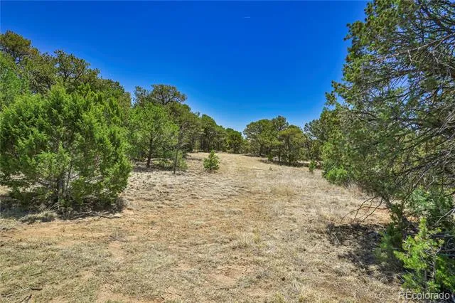 Address Not Shown Aguilar, CO 81020