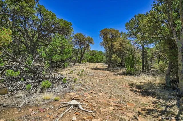 Address Not Shown Aguilar, CO 81020