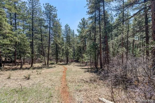 8173 Bannock Drive Larkspur, CO 80118