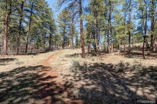 8173 Bannock Drive Larkspur, CO 80118